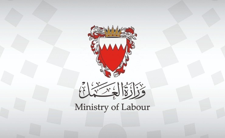 الإجراءات التطويرية بناء على التغذية الراجعة